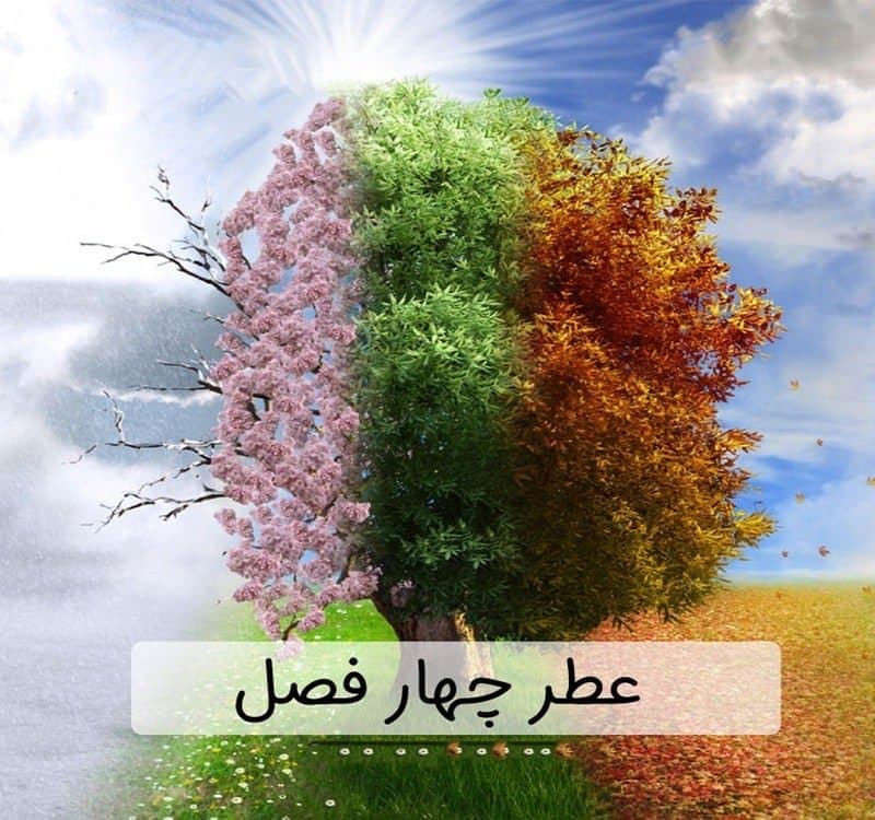 هر عطری رو کی بزنم