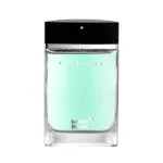 عطر مردانه حِس مدل مونت بلنک پرسنس (مون بلان پرزنس) - hes - MONT BLANC - Mont Blanc Presence